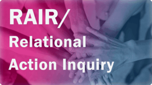 Relational Action Inquiry Co-Lab