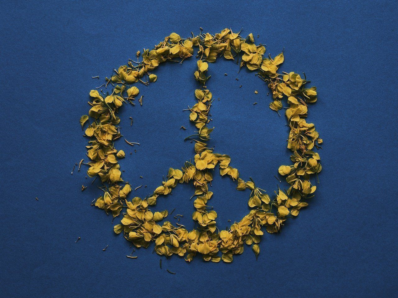 Peace sign made of leaves